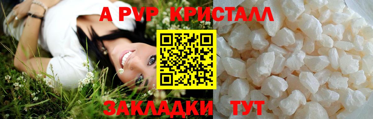 где купить   Вход с VPN  Пенза  А ПВП Соль 