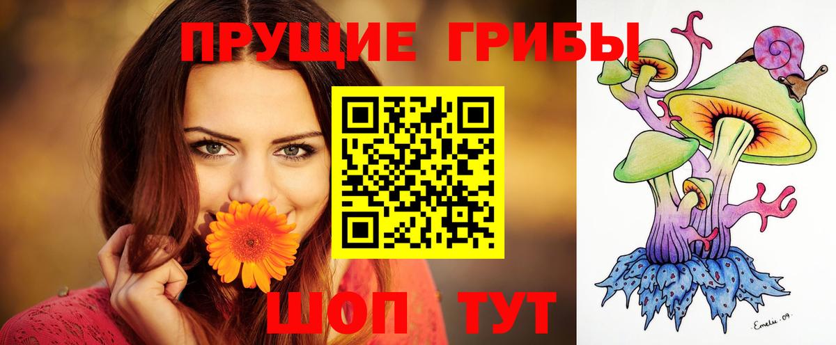 Галлюциногенные грибы GOLDEN TEACHER  Вход с VPN  Пенза 